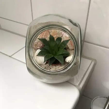 Gasthuis S Runde Wiese Rw 4*